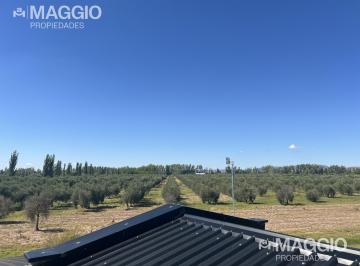Campo · 500m² · 10 Ambientes · Finca en Cuadro Benegas