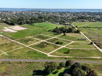 Terreno · 312m² · Terreno en Venta Chascomus