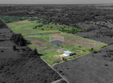Campo · 200ha · Venta de Campo, Chacra en Las Brujas, Canelones