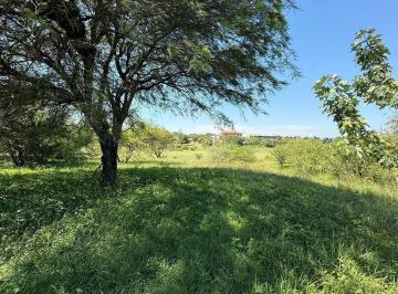 Foto · Terreno en Venta Esctancia El Terron Golf