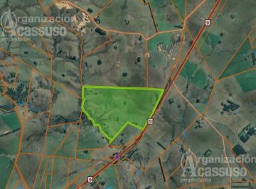 Campo · 1250000m² · Campo - Rocha 125 Hectáreas a 16 Km de José Ignacio