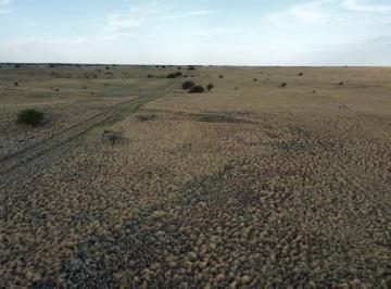Campo , General Acha · Campo de 5.000 Ha Limay Mahuida, Provincia de La Pampa.