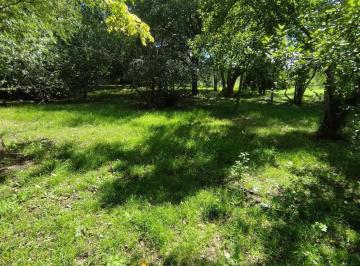 Terreno en Venta en Marcos Paz - Portada · Terreno en Venta en Marcos Paz – Lote 2.500 m² con Arboleda
