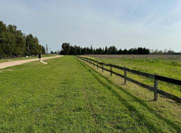Terreno · 17241m² · Venta Chacras Dp,17400 m² Financiación, Permuta!