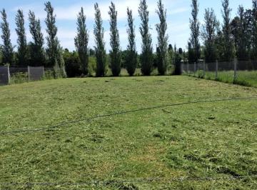 Terreno · 1000m² · Excelente Terreno de 1000 M&sup2;/ Barrio Villa Jardín/ San Pedro