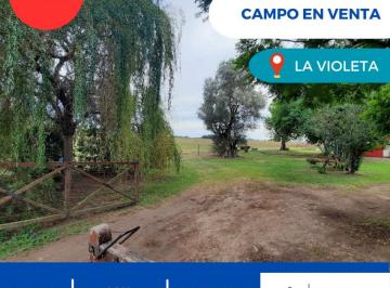 Campo · 56000m² · 6 Ambientes · Hermoso Campo de 5,6 Ha en La Violeta (Partido de Pergamino)