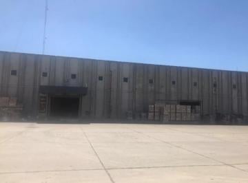 Depósito · 1500m² · 5 Cocheras · Alquiler Depósito de 1500 m² en Moreno