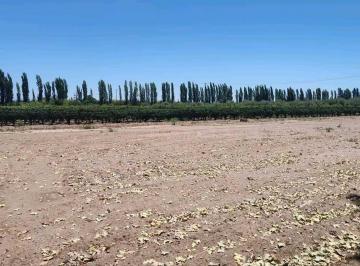 Terreno · 8760m² · Venta Terreno Excepcional Sobre Calle Martinez y Nueva Autopista - Junin