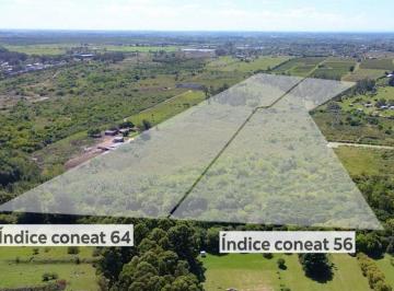 Campo · 14ha · Venta Campo / Chacra 14 Ha Barros Blancos