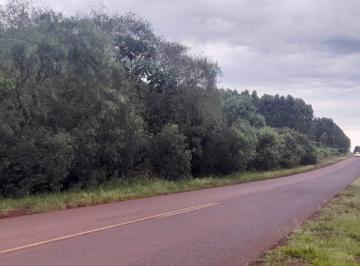 Campo , Apóstoles · Venta de Dos Ha en Apostoles