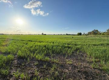 Campo · 170000m² · Venta Campo · Open Door - Industrial