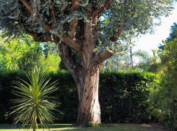 Casa de 5 ambientes, Ezeiza · Casa Quinta en Venta en El Trébol, La Unión, Ezeiza