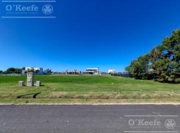 Terreno · 1001m² · Lote Central en Venta en Etapa I con Posesión Inmediata en Puerto Nizuc - Guillermo Hudson