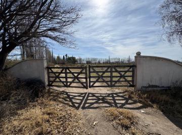 Campo · 60ha · Venta Finca en San Rafael