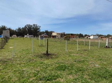SCB-SCB-399_2 · Lote. | Jorge Rey Al 1000