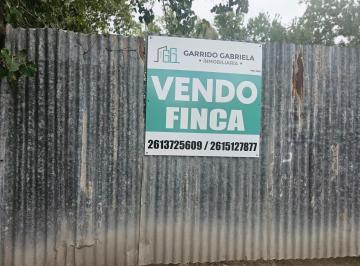 Campo , Los Corralitos · Finca Venta Los Corralitos Guaymallen
