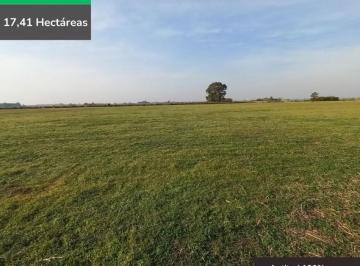 Campo · 174125m² · Campo Agricola de 17,41 Ha en General Rojo