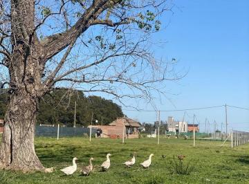 Terreno · 1280m² · Lotes Venta Fincas de Lima Zarate Financiacion