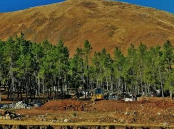 Terreno · 4710m² · Venta Lote Pinar de Los Ciervos