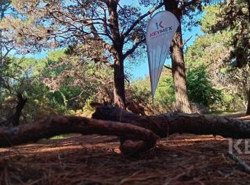 Terreno · 541m² · Terrenos en Venta - Barrio La Reserva - Costa del Este