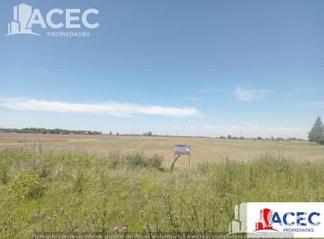 Campo · 25000m² · 1 Ambiente · Venta - Campo - Alvear