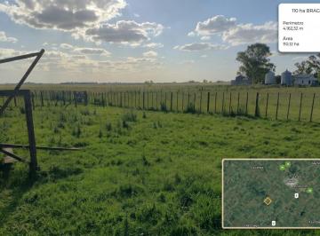 Campo · 60ha · 3 Ambientes · Campo en Bragado 110 Hectáreas, Ganadero, Apto Feedlot