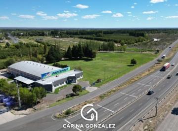 Terreno · 1244m² · Terreno Sobre Ruta 22 - Villa Regina - Rio Negro