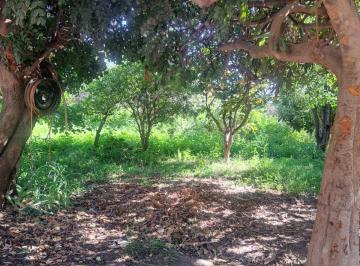 Quinta vacacional , Guaymallén · Veronica Tahan Negocios Inmobiliarios Ofrece Quinta
