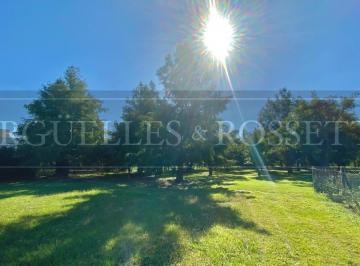 Terreno · 800m² · Lote a La Venta San Sebastián