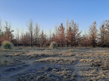 Terreno , Vistalba · Terreno de 10.000 m² en Zona Residencial. Ideal Para Proyecto Inmobiliario.