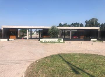 Terreno · 379m² · Venta Lote Terreno El Olivar Pilar