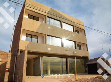 Departamento · 411m² · 9 Dormitorios · 6 Cocheras · Venta Deptos y Local Sobre Rn17 Amoblado Añelo Neuquen