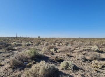 Terreno · 50m² · Venta 5 Hectáreas - Parque Industrial - Neuquén Capital