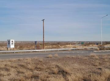 Campo · 87742m² · Campo en Senillosa con Frente de Ruta