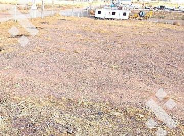 Terreno · 5000m² · Terreno en Alquiler, en Parque Industrial de La Ciudad de Añelo