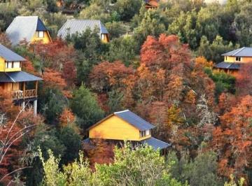 Casa · 883m² · 25 Ambientes · 6 Cocheras · Venta Complejo de Cabañas - Villa Pehuenia - Patagonia Argentina