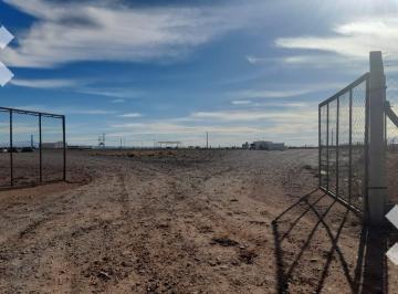 Terreno · 2500m² · Se Alquila, Predio de 2,5 Hectáreas, Añelo.
