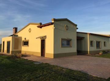Campo · 243m² · 3 Ambientes · 4 Cocheras · Chacra en Venta - 2 Dorm. 2 Baños - Cocheras - 67.500 m² - Pergamino