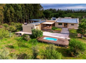 Quinta vacacional de 6 ambientes, San Rafael · Se Vende Cob House en San Rafael, Mendoza.