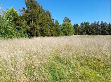 Terreno · 5m² · Terreno Lote en Venta en Uribelarrea, Cañuelas, Resto de La Provincia