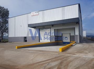 Depósito · 3150m² · Alquiler 3150 m Cub Polo Industrial Ezeiza Nave Premium
