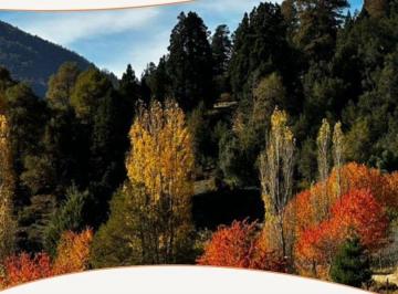 Terreno · 700m² · Terreno en Venta en Altos de Chapelco, San Martín de Los Andes