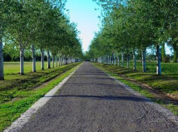 Terreno · 440m² · Venta Lotes 440 m² Barrio Privado Pinares - Gazze
