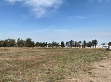 Terreno · 2500m² · Se Venden Lotes Industriales (Patron Libre)