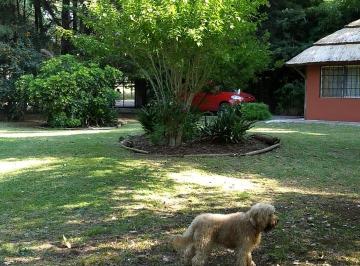 Quinta vacacional de 2 ambientes, Berazategui · Quinta El Pato