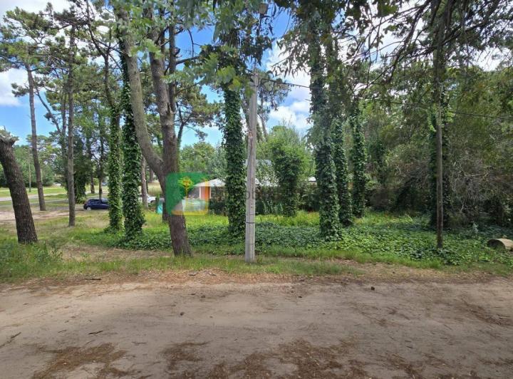Terreno · 442m²