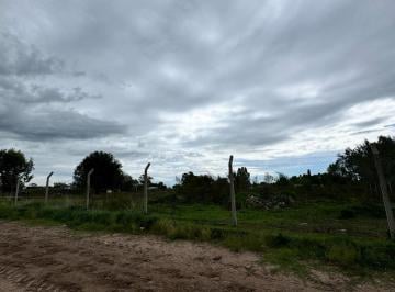 Terreno · 8000m² · Terreno - General Alvear