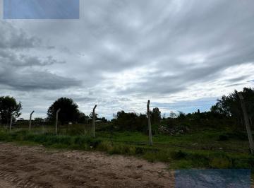 Terreno · 8000m² · Terreno - General Alvear