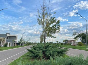 Terreno · 300m² · Terreno en Ecotierra