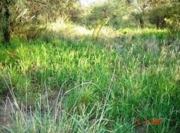 Campo , Candelaria · Un Campo Para No Perder 635 Ha con Acuifero. Oportunidad